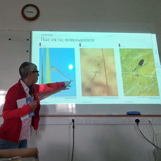 Λιβελούλες της Κύπρου. Παρουσίαση από την κ. Μαίρη Μιχαηλίδου, μέλος της Επιστημονικής Ομάδας Μελέτης των Λιβελούλων