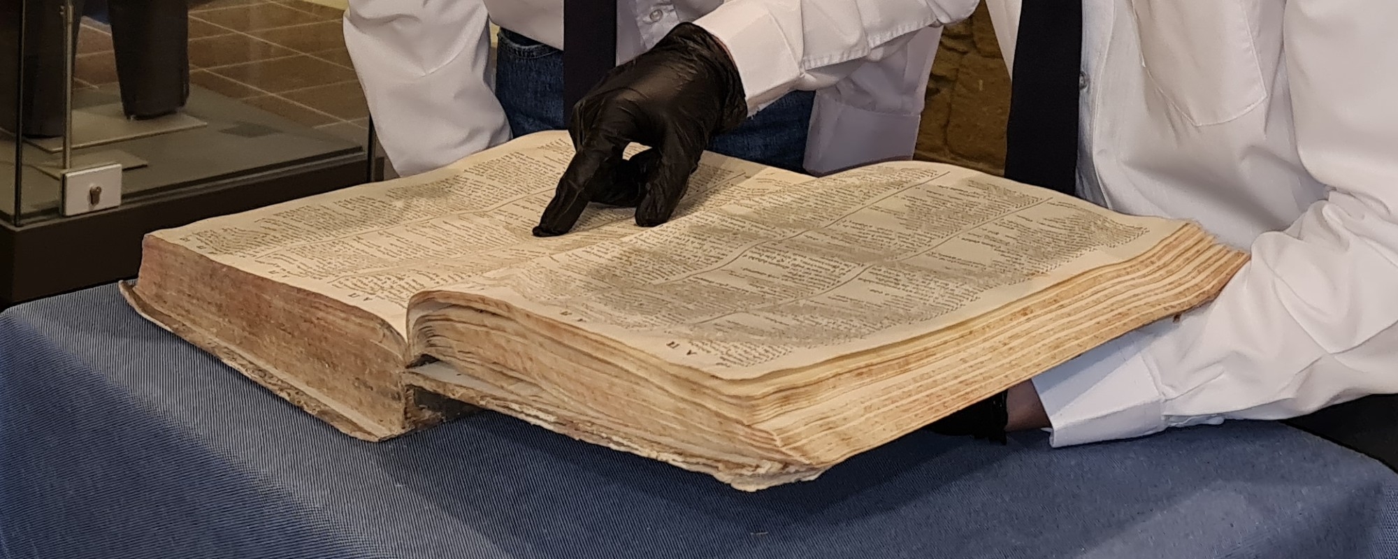 Ελληνική Γλώσσα και Πολιτισμός